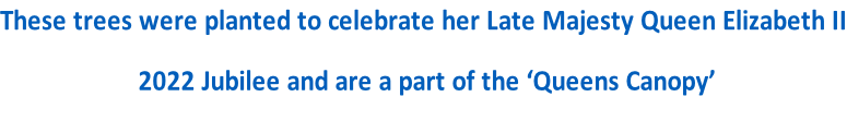 These trees were planted to celebrate her Late Majesty Queen Elizabeth II  2022 Jubilee and are a part of the ‘Queens Canopy’