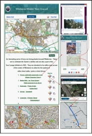 Tree Trail Navigation Guide